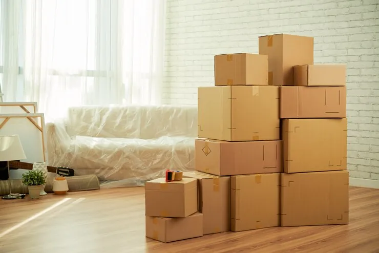 Need Removalists in Adelaide’s Southern Suburbs? We’ve Got You Covered